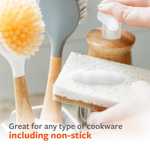 Full Circle Nutcase, Plant-Based Scrubber Sponges – Pack of 6 – 3 Walnut & 3 Coconut – Powerful Natural Sponges Made with Plants & Recycled Materials, Safe for Nonstick - size: Sponge Variety Pack - 6pk