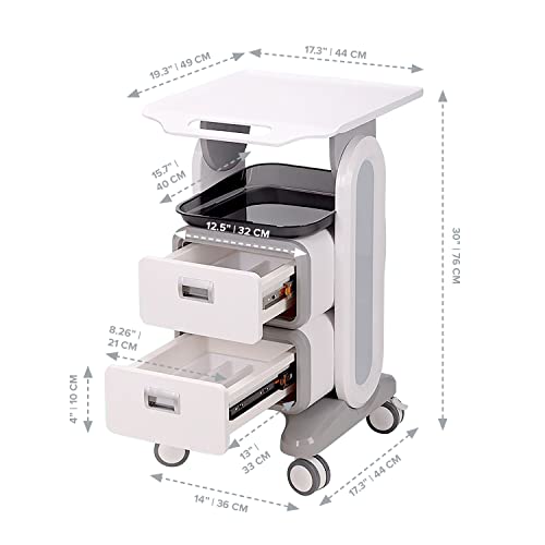 Professional Utility Cart with Wheels - Rolling Dental Office Cart with Drawers - Medical Trolley for Cavitation Machine, Esthetician Supplies, Lab Tools - Salon Trolley - size: 130LB Load / 2 Drawer