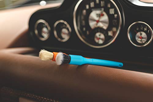 Detail Factory - Crevice Mini Detailing Brush Combo Kit - One Boar's Hair Brush + One Ultra-Soft Synthetic Brush, Heavy Cleaning Action for Small Spaces, Orange + Blue (2-Pack)