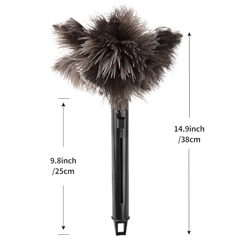 Retractable Feather Duster-Genuine Ostrich Feathers,Anti-Static,Reusable Eco-Friendly Handheld Cleaning for Keyboard,Home,Car,Office(10 to 15 Inches) 2 Pack - color: Natural-15in-stylea-2pcs
