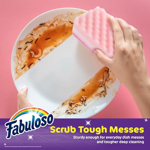 Fabuloso Scratch-Free Kitchen Dish Sponges Rainbow Cellulose Scrubber Sponge with Scouring Pad Dishes Pots Pans Counters and Sinks Tough on Messes 4.25 x 2.75 x 1.25 in 6 Count Single Pack Supply - color: Rainbow, size: 6 Count (Pack of 1)
