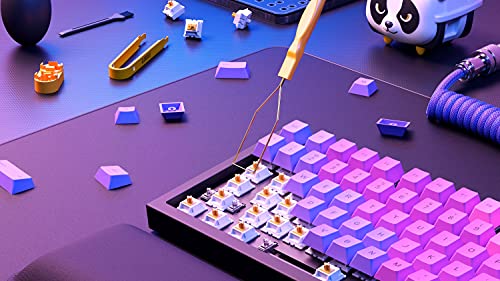Glorious Platform - Acrylic Mechanical Switch and Stabilizer Lubrication Kit - Includes Keycap, Switch Pullers, Opener, Lube Brush, Synthetic G-Lube