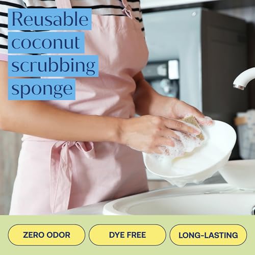 Fab Tab Coconut and Cellulose Sponges, Plant-Based, Non-Scratch Cleaning Sponges for Dishes, Sinks, Stoves, Countertops, Odorless Kitchen Sponge, Reusable, Dishwasher Safe 6-Count