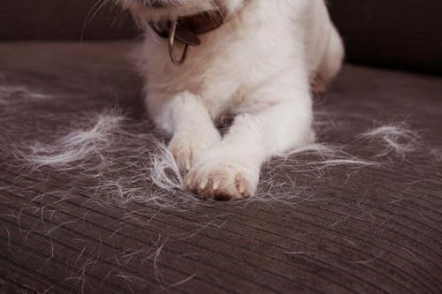 Shine4Me Reusable Pet Hair Remover Roller for Couch, Furniture, Clothes and Car, Lint Remover for Dog and Cat Hair, No Refills Needed, Portable Manual Fur Remover, White