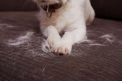 Shine4Me Reusable Pet Hair Remover Roller for Couch, Furniture, Clothes and Car, Lint Remover for Dog and Cat Hair, No Refills Needed, Portable Manual Fur Remover, White