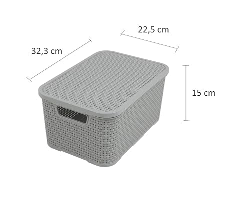 Branq - Home essential Lid Basket in Rattan Design Size M 10 L BPA- Plastic PP Light Grey 28.8 x 19.7 x 16.2 cm 2 Pieces M - color: Lightgrey, size: 10 l