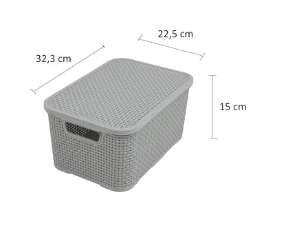Branq - Home essential Lid Basket in Rattan Design Size M 10 L BPA- Plastic PP Light Grey 28.8 x 19.7 x 16.2 cm 2 Pieces M - color: Lightgrey, size: 10 l