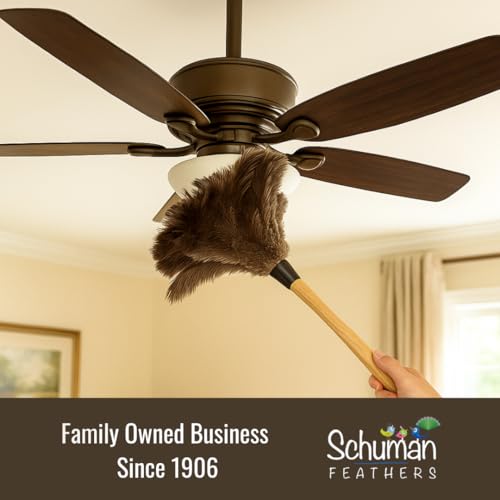 Ostrich Feather Duster with Wooden Handle 14" – Natural Reusable Feather Duster for Cleaning, Furniture & Shelves, Blinds, Ceiling Fan, Dusting Tool for Home, Office, Delicate Surfaces - 1 Pack - size: 1 Pack