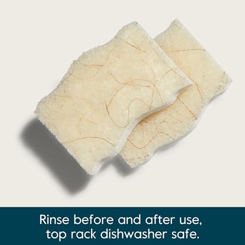 Grove Co. Coconut Scrubber Sponges, 6 Count, Dual Sided, Non-Scratch | 100% Plant-Based Cellulose; Super Absorbent; Removes Tough Messes; Easy to Clean