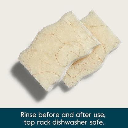 Grove Co. Coconut Scrubber Sponges, 6 Count, Dual Sided, Non-Scratch | 100% Plant-Based Cellulose; Super Absorbent; Removes Tough Messes; Easy to Clean
