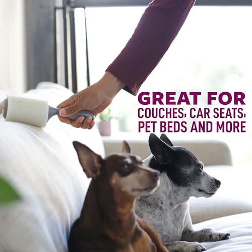 Scotch-Brite Pet Hair Pickup Extra Sticky Lint Roller, Designed for Removing Fur + Fluff on Couches, Clothes, Dog and Cat Beds, & More, 2 Pack, 140 Easy - Tear Adhesive Sheets Total