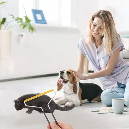 Angoily 2pcs Pet Hair Remover Lint Roller Clothes Hairball Cleaner Stainless Steel Manual Scraper for Furniture Carpet Coat Cleaning Tools