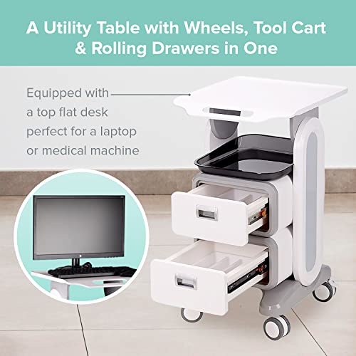 Professional Utility Cart with Wheels - Rolling Dental Office Cart with Drawers - Medical Trolley for Cavitation Machine, Esthetician Supplies, Lab Tools - Salon Trolley - size: 130LB Load / 2 Drawer