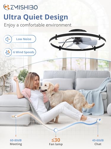 ZMISHIBO 24 Inch Ceiling Fans with Lights and Remote, Modern Low Profile Ceiling Fan, 3000-6000K Dimmable Flush Mount LED Fan Light, 6 Wind Speeds, Fandelier Ceiling Fans for Bedroom- Black - color: Black, size: 24 INCH