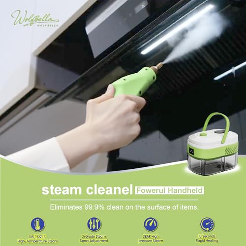 Steam Cleaner, 15s Heat-Up,1.4L Tank,Steamer for Cleaning with 14-Piece Accessories, 3 Steam Levels, chemical-free Cleaning Tile, Grout, Dirt, Grease & Car (white＆green) - color: white＆green