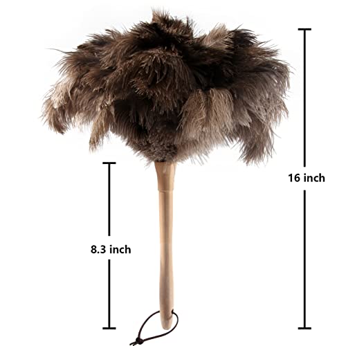 THARAHT 2PCS Ostrich Feather Duster 16 Inch Fluffy Natural with Wood Handle Reusable Washable for Cleaning Keyboard,Home,Car,Office Ostrich Feather Duster - color: Model (A)-2pcs, size: 16inch