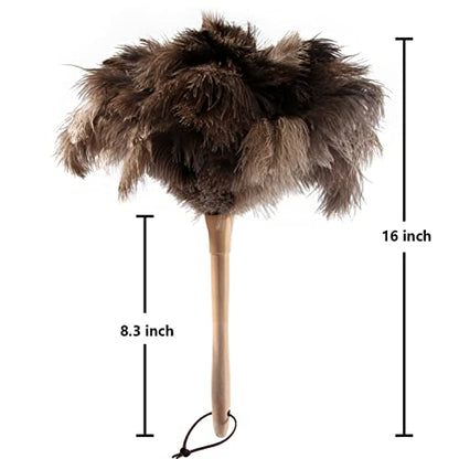 THARAHT 2PCS Ostrich Feather Duster 16 Inch Fluffy Natural with Wood Handle Reusable Washable for Cleaning Keyboard,Home,Car,Office Ostrich Feather Duster - color: Model (A)-2pcs, size: 16inch
