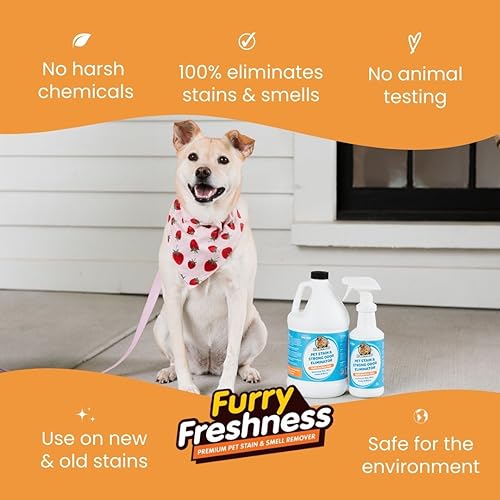 FurryFreshness Extra Strength Cat or Dog Pee Stain & Permanent Odor Remover + Smell Eliminator -Removes Stains From Pets & Kids Including Urine or Blood- Lifts Old Carpet Stains- (2 Pack) - size: 32 Ounce (Pack of 2)