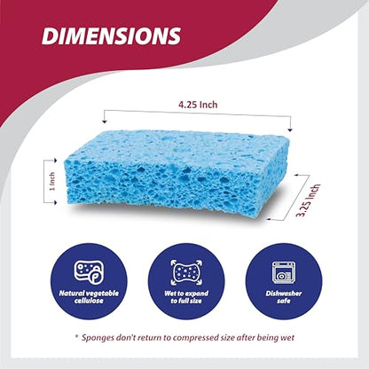 HIC Kitchen Pop-Up Sponges, Rectangular, Natural Vegetable Cellulose, Set of 4 - style: Pop Up, Set/4