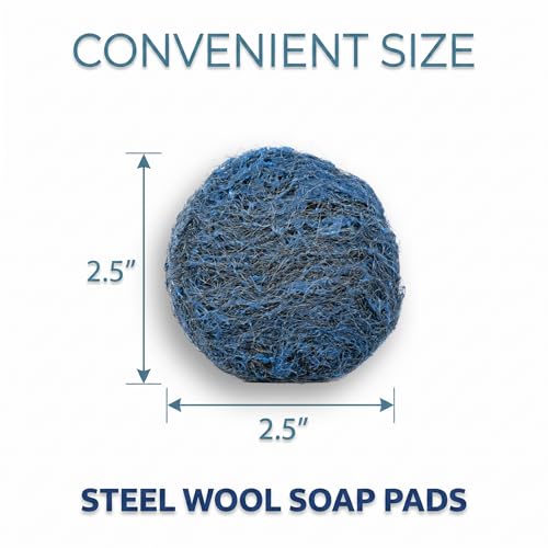 Amazon Basics Steel Wool Soap Pads, Reusable, Cuts Grease and Removes Rust, 10 Count, Pack of 1