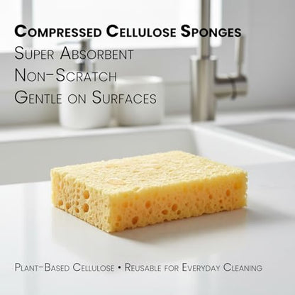 Mistifi Compressed Cellulose Sponges, Natural Plant-Based Kitchen Sponges, Super Absorbent Non-Scratch Cleaning Sponge for Dishes, Counters, Bathroom & More–Reusable Dish Sponges (12 Pack)