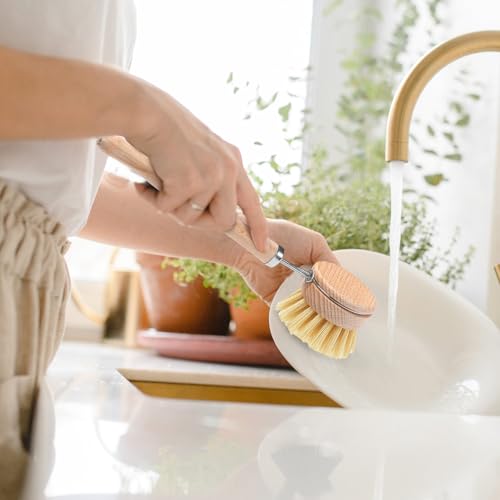 Boao 6 Pack Dish Brush with Beechwood Handle with Replacement Heads Natural Wood Dish Scrub Brush for Washing and Cleaning Pots and Pans