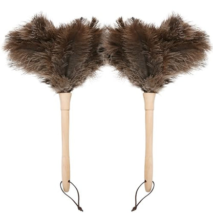 Ostrich Duster Fluffy Natural Feather Dusters with Wooden Handle Cleaning Supplies for Home Office Car (2, 16inch) - color: Natural-c-2pcs