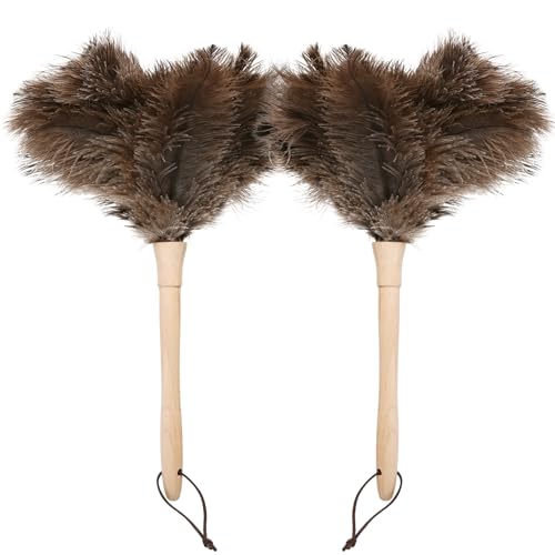 Ostrich Duster Fluffy Natural Feather Dusters with Wooden Handle Cleaning Supplies for Home Office Car (2, 16inch) - color: Natural-c-2pcs