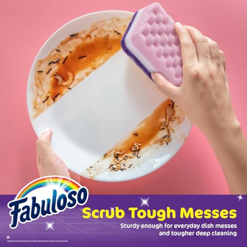 Fabuloso Scratch-Free Kitchen Dish Sponges Purple Cellulose Scrubber Sponge Scouring Pad Dishes Pots Pans Counters and Sinks Tough on Messes 4.25 x 2.75 x 1.25 in 6 Count 2 Pack Kitchen Cleaning - color: Purple, size: 6 Count (Pack of 2)