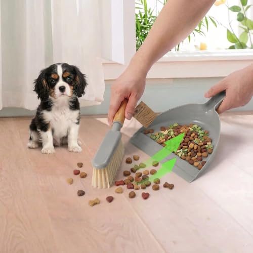 Small Dustpan and Brush Set - Mini Broom with Dustpan Set, Handheld Broom and Dust Pan Combo Set for Home, Pet Care, Car, 14 x 8.7 inch, Grey - color: Gray
