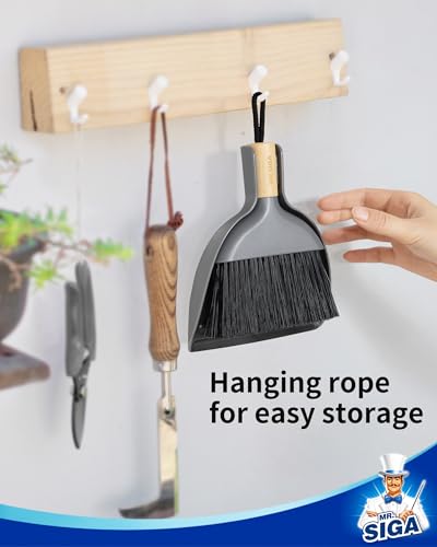 MR.SIGA Mini Dustpan and Brush Set, Portable Cleaning Brush and Dustpan Combo with Bamboo Handle, Gray, 1 Set - color: Gray