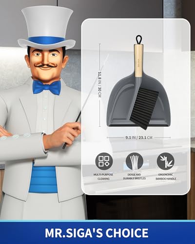 MR.SIGA Dustpan and Brush Set, Portable Cleaning Brush and Dustpan Combo with Bamboo Handle, Gray, 1 Set - color: Gray