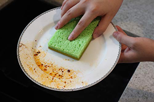 SCRUBIT 24 Pack Natural Sponges - Biodegradable Compostable Cellulose and Coconut Natural Sponges for Dishes, Eco Friendly Non Toxic Kitchen Sponge - size: 24 Count (Pack of 1)