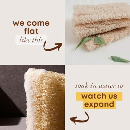 Natural Loofah Sponge (Pack 4) - Exfoliating Body for Bath or Dish Scrubber for Kitchen - 100% Biodegradable Compostable Zero Waste Dishwashing Scouring Pad - size: Pack 4