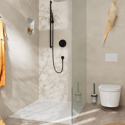 hansgrohe AddStoris Toilet Brush Holder Wall-Mounted, matt Black, 41752670 - color: Matt Black