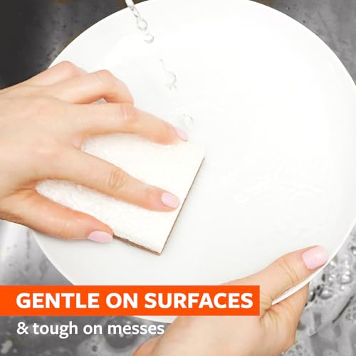 Full Circle Nutcase, Plant-Based Scrubber Sponges – Pack of 6 – 3 Walnut & 3 Coconut – Powerful Natural Sponges Made with Plants & Recycled Materials, Safe for Nonstick - size: Sponge Variety Pack - 6pk