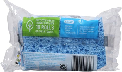 Scotch-Brite Scrub Dots Non-Scratch Scrub Sponge, Rinses Clean, for Washing Dishes and Cleaning Kitchen, 3 Scrub Sponges (Pack of 2) - size: 3 Sponges (Pack of 2)