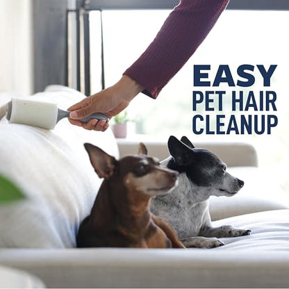 Scotch-Brite Everyday Clean Lint Roller, Lint Remover for Pet Hair, Dark Clothes, Furniture, and Dusty Surfaces, Picks Up Fur & Fluff in Your Home, Car, & Office, 10 Pack, 950 Adhesive Sheets Total - size: 10 Rollers