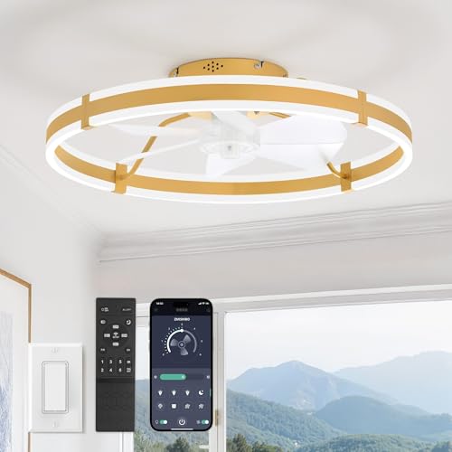 ZMISHIBO 24 Inch Ceiling Fans with Lights and Remote, Modern Low Profile Ceiling Fan, 3000-6000K Dimmable Flush Mount LED Fan Light, 6 Wind Speeds, Fandelier Ceiling Fans for Bedroom- Gold - color: Gold, size: 24 INCH