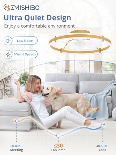 ZMISHIBO 24 Inch Ceiling Fans with Lights and Remote, Modern Low Profile Ceiling Fan, 3000-6000K Dimmable Flush Mount LED Fan Light, 6 Wind Speeds, Fandelier Ceiling Fans for Bedroom- Gold - color: Gold, size: 24 INCH