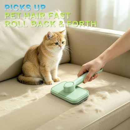 Pet Hair Remover – Reusable Lint Remover for Dog and Cat Hair, Pet Carpet Cleaner Electrostatic Lint Brush Magic Pet Hair Removal Tool for Carpet, Clothes, Rugs, Couch, Car, Bedding, Fabric Furniture - color: Color-24