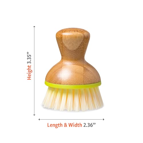Full Circle Bubble Up- Eco-Friendly Bamboo Dish Brush – Ergonomic Palm Scrubber with Handle for Kitchen Cleaning, Dish Scrub Brush for Nonstick, Cast Iron & Sink, Green Brush 1 Pk