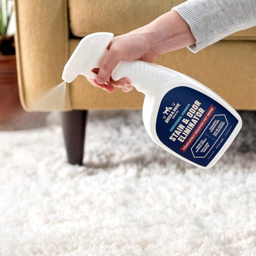 Rocco & Roxie Supply Co. Stain & Strong Odor Eliminator, Enzyme Cleaner, Pet Odor Eliminator for Home - Carpet Stain Remover for Cats & Dog Pee - Urine Destroyer - Carpet Cleaner Spray, 1-Gallon - size: 128 Fl Oz (Pack of 1)
