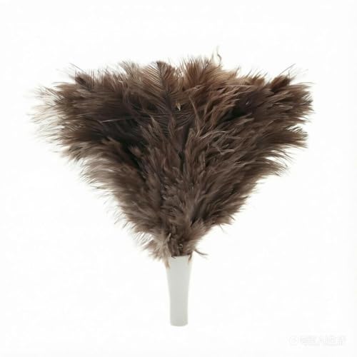 Feather Duster, Ostrich Feather Duster Replacement Head, Reusable Ostrich Feather Duster, Brown (Replacement Head Only) - size: 10"