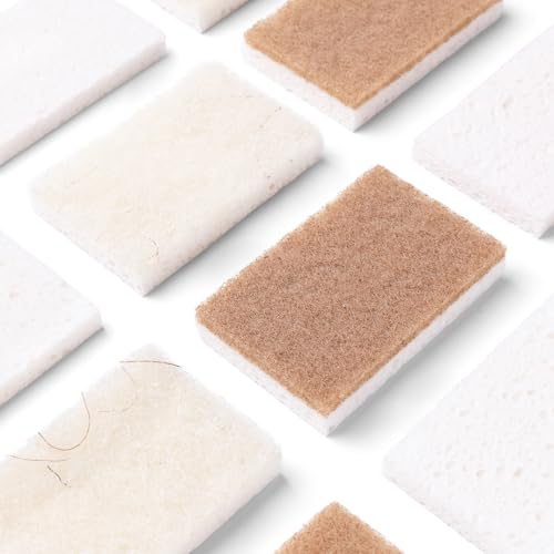 Full Circle Nutcase, Plant-Based Scrubber Sponges – Pack of 6 – 3 Walnut & 3 Coconut – Powerful Natural Sponges Made with Plants & Recycled Materials, Safe for Nonstick - size: Sponge Variety Pack - 6pk
