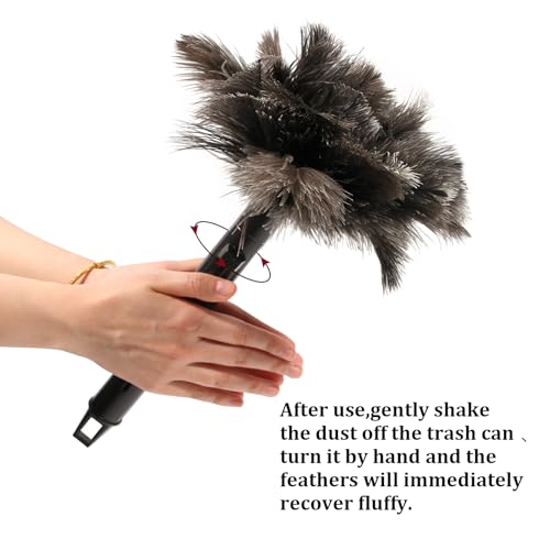 Retractable Ostrich Feather Duster for Cleaning, Fluffy and Natural Feather Duster with Retractable Handle， Reusable Eco-Friendly Handheld Cleaning Supplies (15 inch) - color: Model-15”-brown-1 Pieces