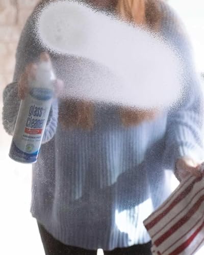 Sprayway Glass Cleaner with Foaming Spray for a Streak-Free Shine for Home and Automotive Use,19 oz.,(Pack of 12) - size: 19 Fl Oz (Pack of 12)