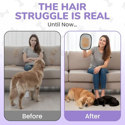 KEYVOZ Pet Hair Removal Glove for Cats and Dogs, Electrostatic Magic Brush Pet Hair Remover for Dog Couch, Available in Blue, Purple, Pink, Brown- Perfect for Pet Owners (Purple) - color: Purple