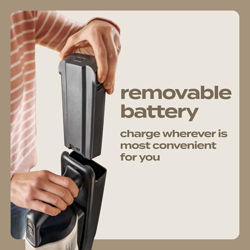 Bissell PowerClean FurGuard Self-Standing Cordless Vacuum w/Self-Cleaning Brush Roll, Wall Mount, Upholstery Tool & Bright Headlights, Amazon Exclusive Limited Edition Color, Coastal Clean, 4039A - style: PowerClean FurGuard Coastal Clean