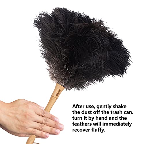 Aldwin Ostrich Feather Duster, 16 inch Black Genuine Ostrich Feathers with Wood Handle, Reusable Car Dusters, Eco-Friendly Cleaning Handheld Dusters for Home, Office and Kitchen - color: Black